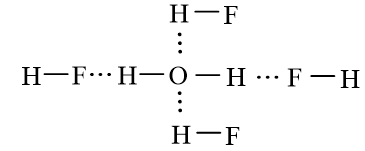 Sách bài tập Hóa học 10 Bài 13 (Kết nối tri thức): Liên kết hydrogen và tương tác van der Waals  (ảnh 1)