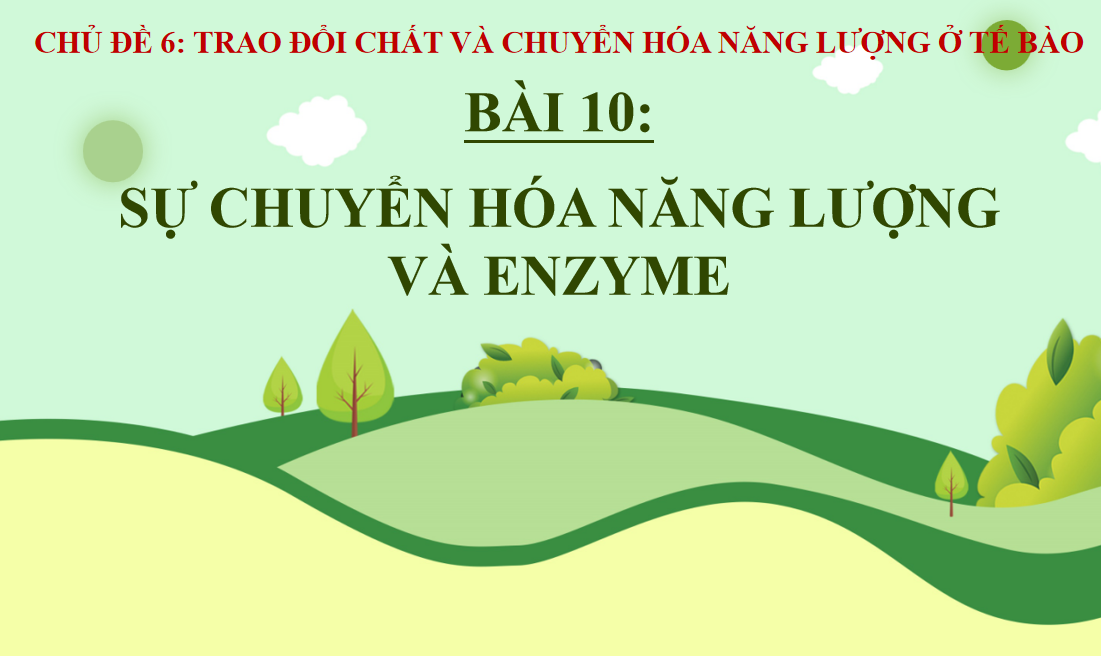 Giáo án điện tử Sự chuyển hóa năng lượng và enzyme | Bài giảng PPT Sinh học 10 (ảnh 1)