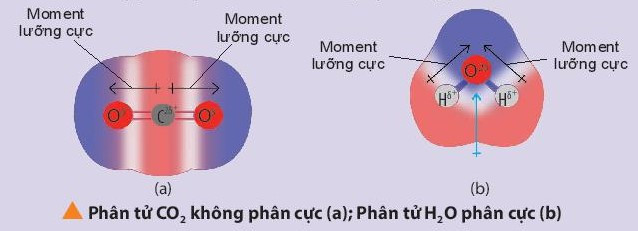 Lý thuyết Hóa học 10 Bài 10: Liên kết cộng hóa trị - Chân trời sáng tạo (ảnh 1)