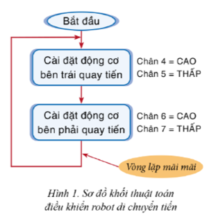 Chuyên đề Tin học 10 Bài 2: Thực hành điều khiển robot giáo dục di chuyển - Cánh diều (ảnh 1)