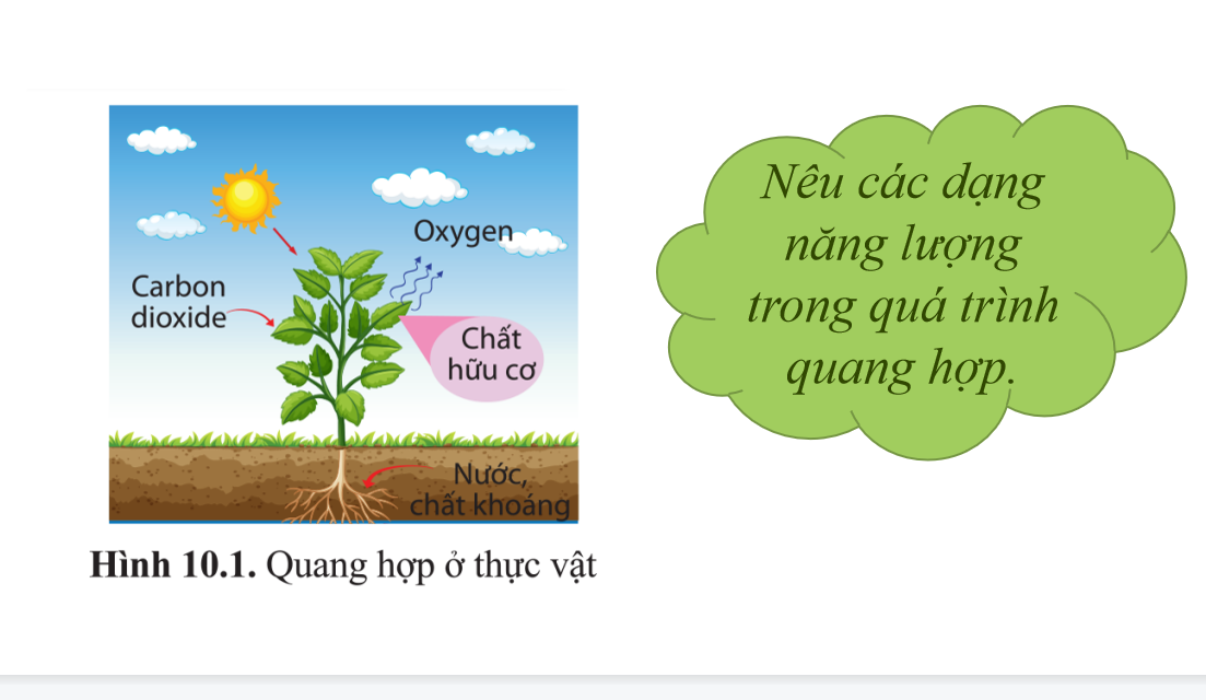 Giáo án điện tử Sự chuyển hóa năng lượng và enzyme | Bài giảng PPT Sinh học 10 (ảnh 1)