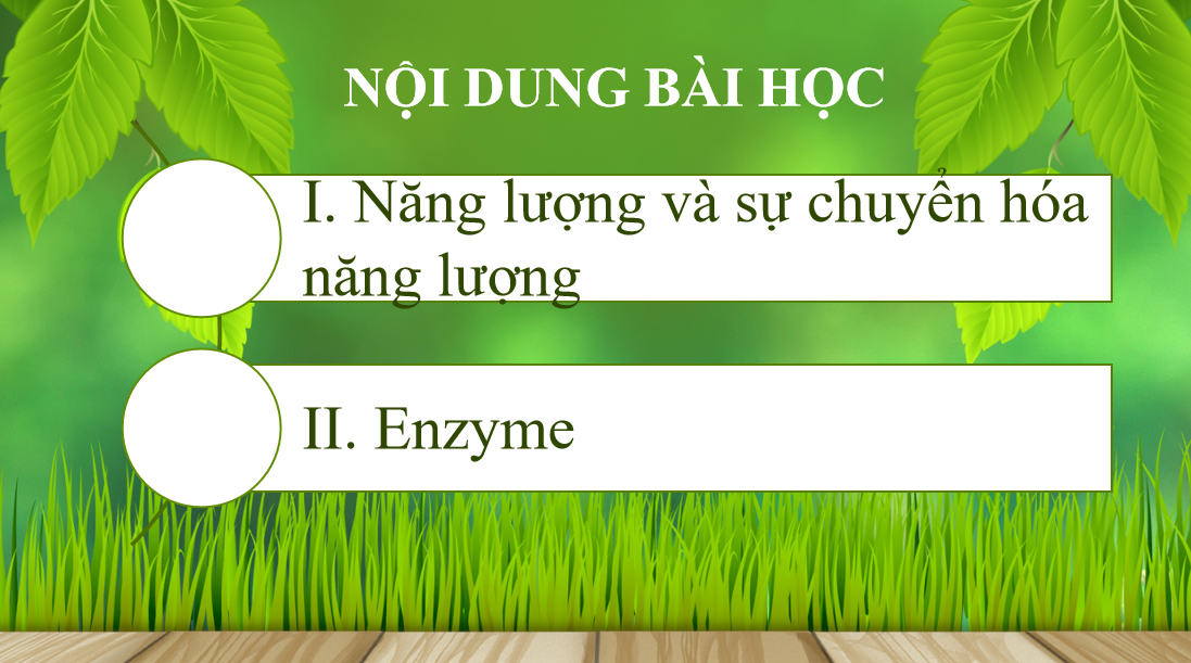 Giáo án điện tử Sự chuyển hóa năng lượng và enzyme | Bài giảng PPT Sinh học 10 (ảnh 1)