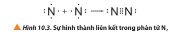 Lý thuyết Hóa học 10 Bài 10: Liên kết cộng hóa trị - Chân trời sáng tạo (ảnh 1)