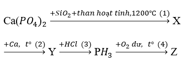 SBT Hóa học 11 Bài 10: Photpho | Giải SBT Hóa học lớp 11 (ảnh 2)