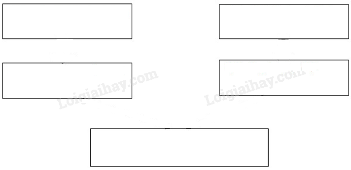 SBT Địa lí 11 Bài 1: Những cuộc cách mạng tư sản đầu tiên | Giải SBT Địa lí lớp 11 (ảnh 1)