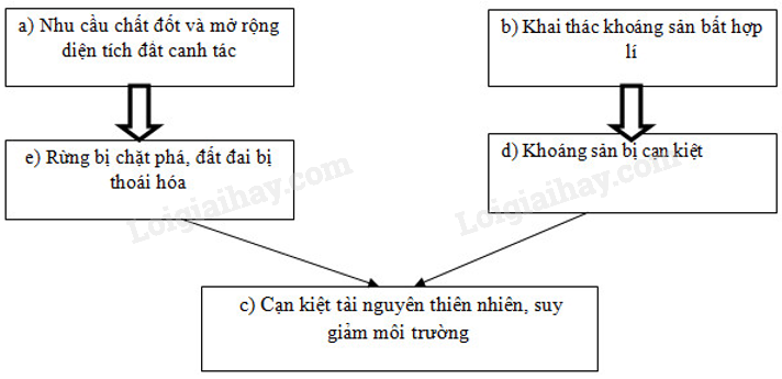 SBT Địa lí 11 Bài 1: Những cuộc cách mạng tư sản đầu tiên | Giải SBT Địa lí lớp 11 (ảnh 2)