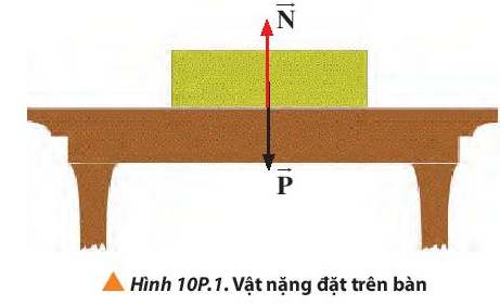 Vật Lí 10 Bài 10: Ba định luật Newton về chuyển động | Giải Lí 10 Chân trời sáng tạo (ảnh 11)