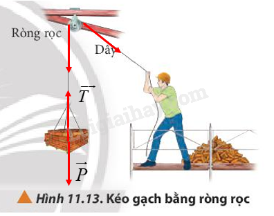 Vật Lí 10 Bài 11: Một số lực trong thực tiễn | Giải Lí 10 Chân trời sáng tạo (ảnh 11)