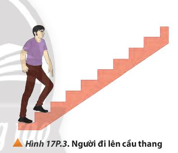 Vật Lí 10 Bài 17: Động năng và thế năng. Định luật bảo toàn cơ năng | Giải Lí 10 Chân trời sáng tạo (ảnh 11)