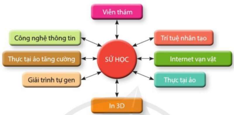 Lịch Sử 10 Bài 3: Sử học với các lĩnh vực khoa học khác | Cánh diều (ảnh 11)