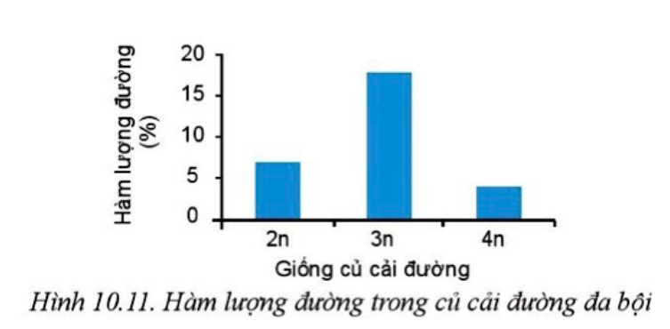 Công nghệ 10 Bài 10: Phương pháp chọn, tạo giống cây trồng | Cánh diều (ảnh 5)