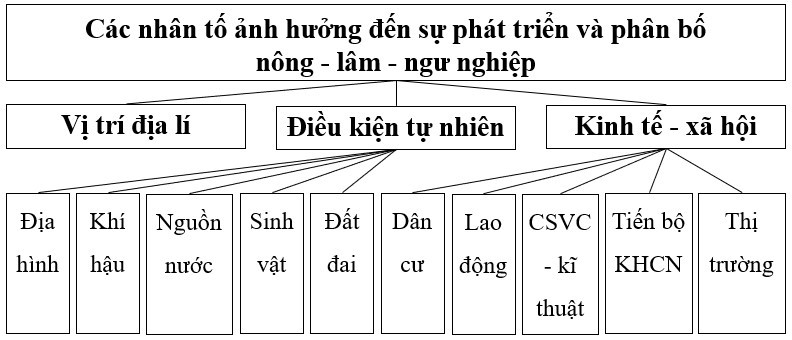 Bộ 30 đề thi Giữa học kì 2 Địa lí lớp 10 Chân trời sáng tạo có đáp án (ảnh 1)