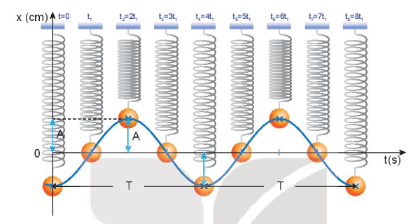 Lý thuyết Dao động điều hòa (Kết nối tri thức 2023) hay, chi tiết | Vật Lí 11 (ảnh 2)