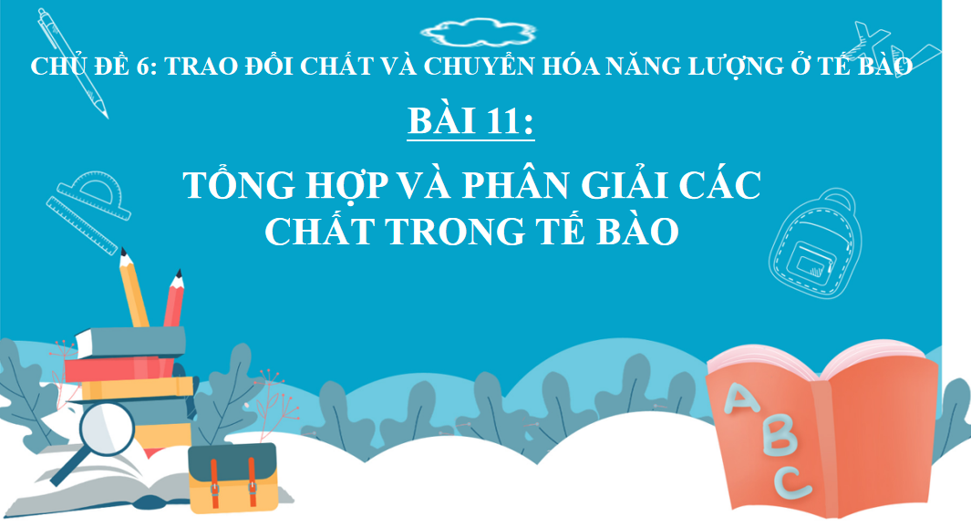 Giáo án điện tử Tổng hợp và phân giải các chất trong tế bào | Bài giảng PPT Sinh học 10 (ảnh 1)