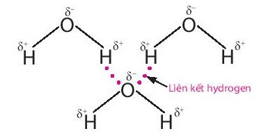 Lý thuyết Hóa học 10 Bài 11: Liên kết hydrogen và tương tác van der waals - Chân trời sáng tạo (ảnh 1)