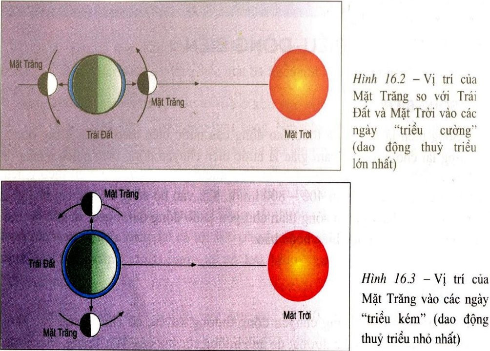 Lý thuyết Địa lí 10 Bài 11: Nước biển và đại dương - Cánh diều (ảnh 1)