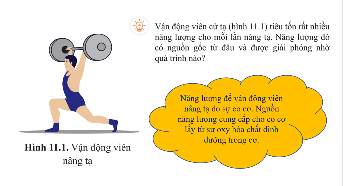 Giáo án điện tử Tổng hợp và phân giải các chất trong tế bào | Bài giảng PPT Sinh học 10 (ảnh 1)