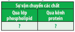 Sinh học 10 Bài 11: Vận chuyển các chất qua màng sinh chất | Giải Sinh 10 Chân trời sáng tạo (ảnh 3)