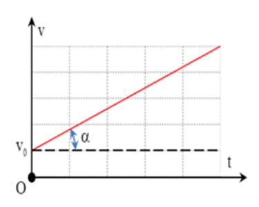 Bộ 24 Đề thi Vật Lí lớp 10 Giữa học kì 1 năm 2021 tải nhiều nhất (ảnh 15)