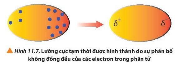 Lý thuyết Hóa học 10 Bài 11: Liên kết hydrogen và tương tác van der waals - Chân trời sáng tạo (ảnh 1)