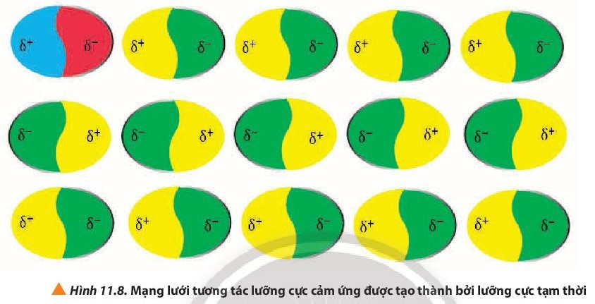 Lý thuyết Hóa học 10 Bài 11: Liên kết hydrogen và tương tác van der waals - Chân trời sáng tạo (ảnh 1)