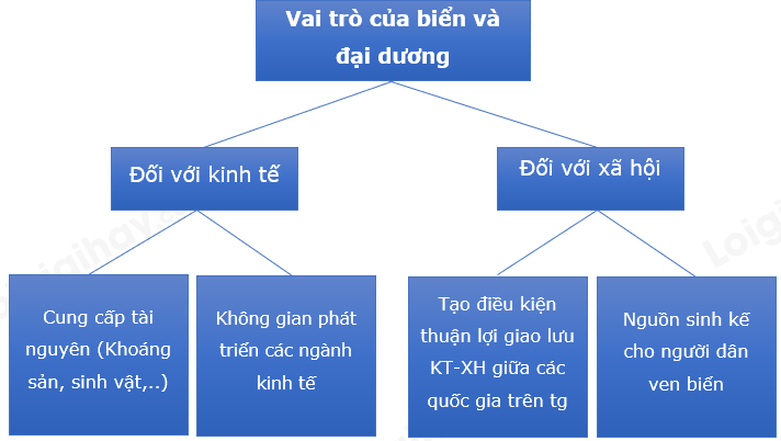 Địa Lí 10 Bài 13: Nước biển và đại dương | Chân trời sáng tạo (ảnh 7)