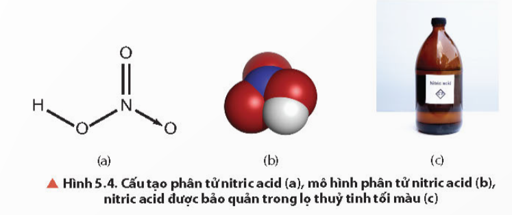  (ảnh 3)