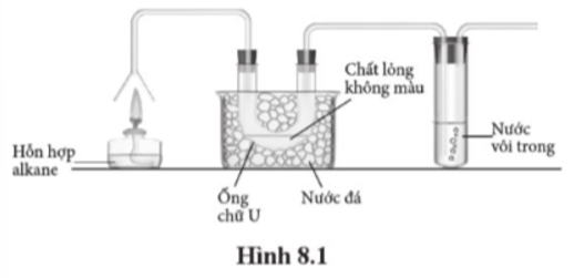 Giải SBT Hóa 11 Bài 8 (Cánh diều): Hợp chất hữu cơ và hoá học hữu cơ (ảnh 2)