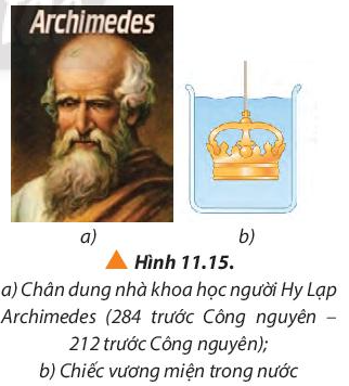 Vật Lí 10 Bài 11: Một số lực trong thực tiễn | Giải Lí 10 Chân trời sáng tạo (ảnh 12)