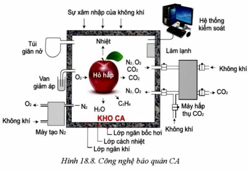 Công nghệ 10 Bài 18: Ứng dụng công nghệ cao trong thu hoạch, bảo quản và chế biến sản phẩm trồng trọt | Cánh diều (ảnh 8)