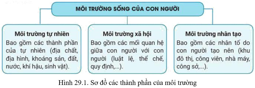 Lý thuyết Địa lí 10 Bài 29: Môi trường và tài nguyên thiên nhiên - Cánh diều (ảnh 1)