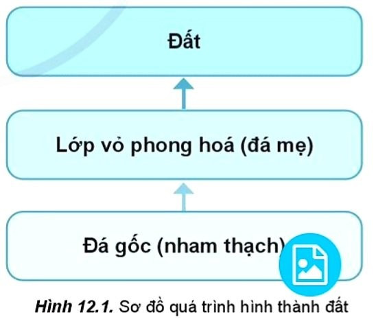 Lý thuyết Địa lí 10 Bài 12: Đất và sinh quyển - Cánh diều (ảnh 1)