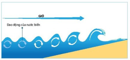 Lý thuyết Địa lí 10 Bài 12: Nước biển và đại dương - Kết nối tri thức  (ảnh 1)