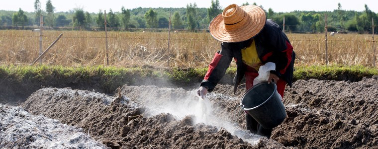 Lý thuyết Địa lí 10 Bài 12: Đất và sinh quyển - Cánh diều (ảnh 1)