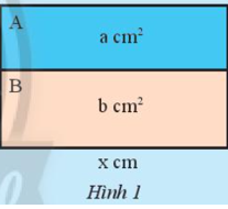 Giáo án Toán 8 Bài 6 (Chân trời sáng tạo 2023): Cộng, trừ phân thức (ảnh 1)