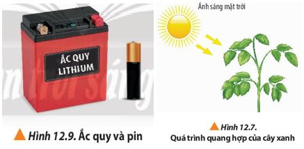 Lý thuyết Hóa học 10 Bài 12: Phản ứng oxi hóa – khử và ứng dụng trong cuộc sống - Chân trời sáng tạo (ảnh 1)