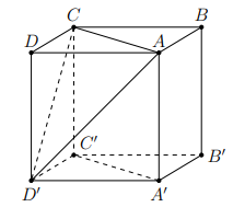 Chuyên đề về góc và khoảng cách trong không gian (ảnh 11)