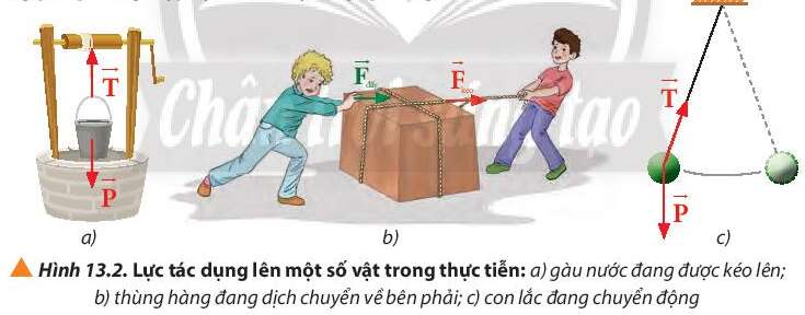 Vật Lí 10 Bài 13: Tổng hợp lực - Phân tích lực | Giải Lí 10 Chân trời sáng tạo (ảnh 2)