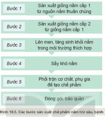 Lý thuyết Công Nghệ 10 Bài 18: Ứng dụng công nghệ vi sinh trong phòng trừ sâu, bệnh hại cây trồng - Kết nối tri thức (ảnh 1)