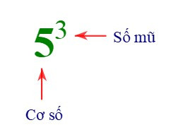 Ôn tập chương (Lý thuyết + Bài tập Toán lớp 7) – Kết nối tri thức (ảnh 1)