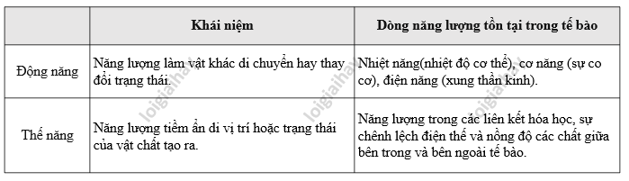 Lý thuyết Sinh học 10 Bài 13 (Kết nối tri thức): Khái quát về chuyển hóa vật chất và năng lượng (ảnh 1)