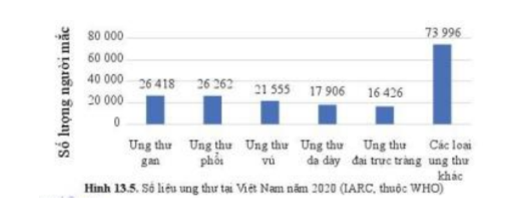 Lý thuyết Sinh học 10 Bài 13 (Cánh diều): Chu kì tế bào và nguyên phân (ảnh 10)