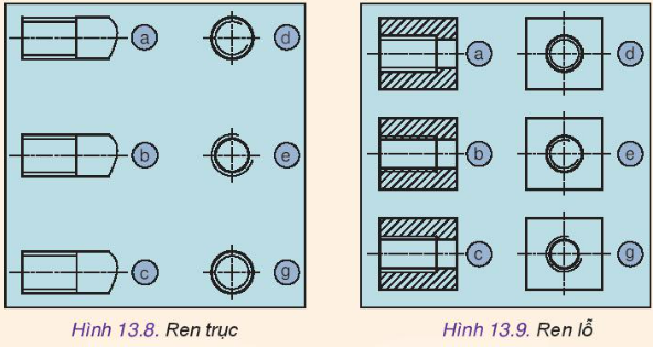 Công nghệ 10 Bài 13: Biểu diễn quy ước ren | Kết nối tri thức (ảnh 3)