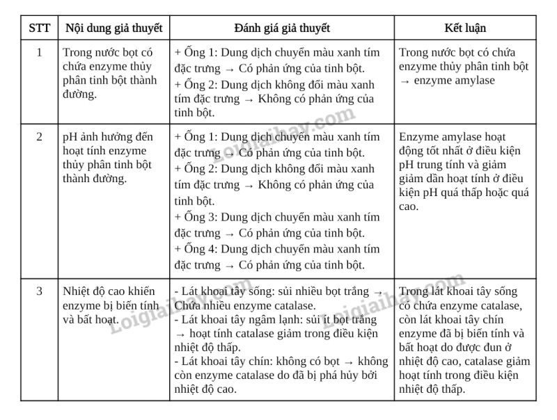 Sinh học 10 Bài 14: Thực hành: Một số thí nghiệm về enzyme | Giải Sinh 10 Chân trời sáng tạo (ảnh 9)