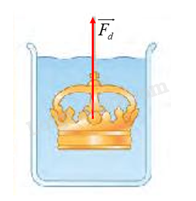 Vật Lí 10 Bài 11: Một số lực trong thực tiễn | Giải Lí 10 Chân trời sáng tạo (ảnh 14)