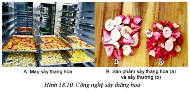 Công nghệ 10 Bài 18: Ứng dụng công nghệ cao trong thu hoạch, bảo quản và chế biến sản phẩm trồng trọt | Cánh diều (ảnh 10)