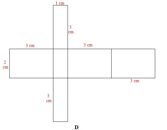 TOP 15 câu Trắc nghiệm Hình hộp chữ nhật – Hình lập phương có đáp án - Toán lớp 7 Chân trời sáng tạo (ảnh 1)