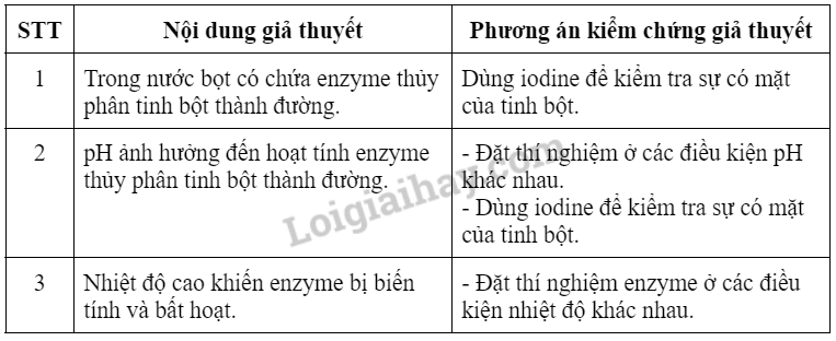 Sinh học 10 Bài 14: Thực hành: Một số thí nghiệm về enzyme | Giải Sinh 10 Chân trời sáng tạo (ảnh 8)