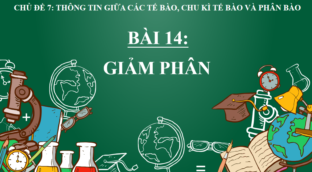 Giáo án điện tử Giảm phân | Bài giảng PPT Sinh học 10 (ảnh 1)