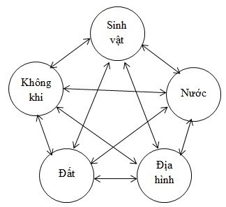 Lý thuyết Địa lí 10 Bài 14: Vỏ địa lí. Quy luật thống nhất và hoàn chỉnh - Cánh diều (ảnh 1)